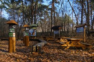Światowidy na ścieżce „Las w zasięgu ręki" w Osowcu-Twierdzy