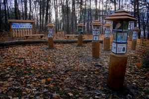 Światowidy na ścieżce „Las w zasięgu ręki" w Osowcu-Twierdzy