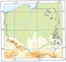 Mapa stanowisk wierzby lapońskiej w Polsce