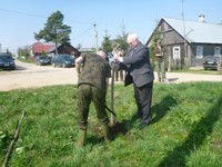 Jeden z pierwszych żywokołów posadził Burmistrz Dąbrowy Białostockiej - Pan Tadeusz Ciszkowski