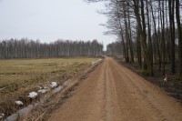 Droga w Ostrowiu Biebrzańskim