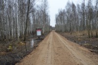 Droga w Ostrowiu Biebrzańskim