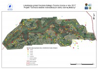 Mapa z lokalizacją gniazd na Górnej Biebrzy